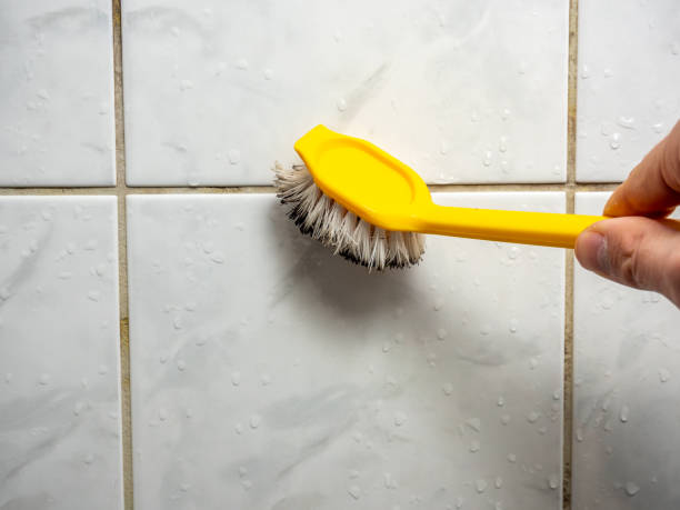 Best Best Mold Removal Companies  in Jourdanton, TX