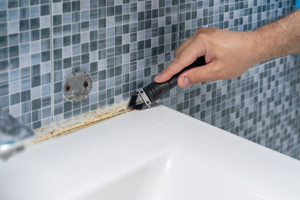 Best Fast Mold Removal  in Jourdanton, TX