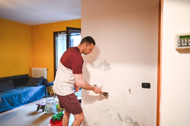 Best Mold Cleaning Services  in Jourdanton, TX