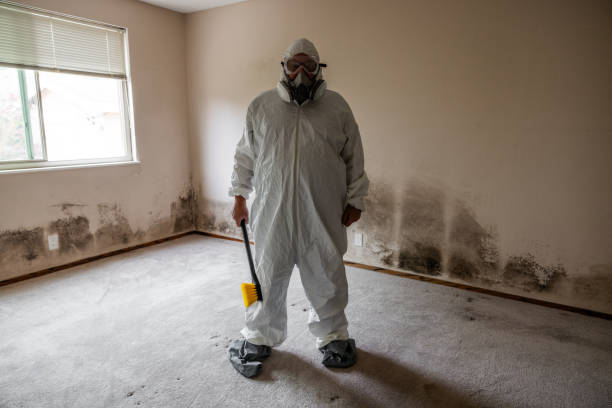 Best Mold Testing  in Jourdanton, TX